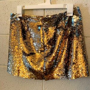 Gold and Silver Sequin skirt